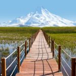 sultan-sazligi-scaled