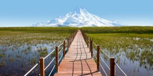 sultan-sazligi-scaled